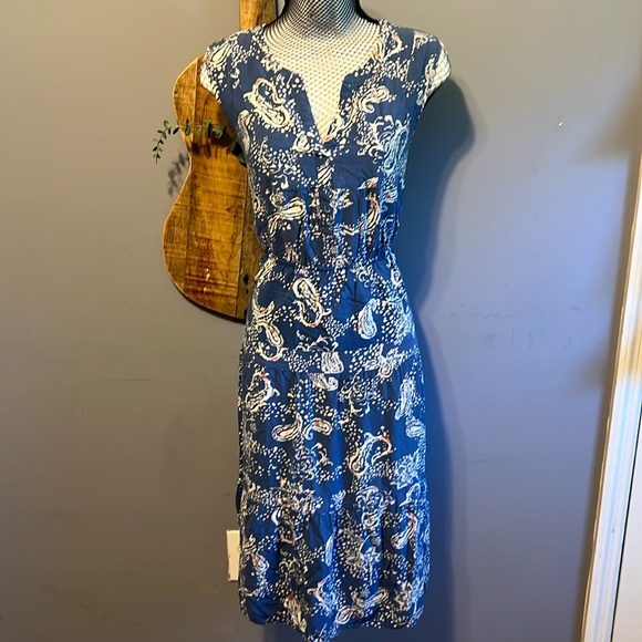 Daniel Rainn Dresses & Skirts - Daniel Rainn blue and paisley sleeveless day dress large NWOT